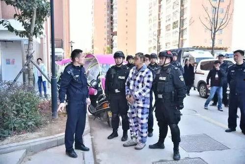 警察办案吃瓜视频,吃瓜群众围观，揭秘案件背后真相
