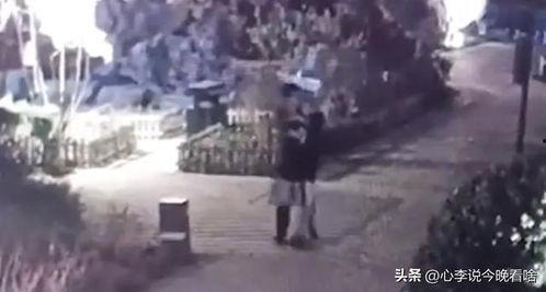 砲台吃瓜视频,揭秘热门视频背后的故事与笑料