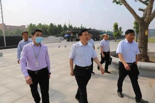 司法大战吃瓜群众视频,吃瓜群众视角下的精彩瞬间