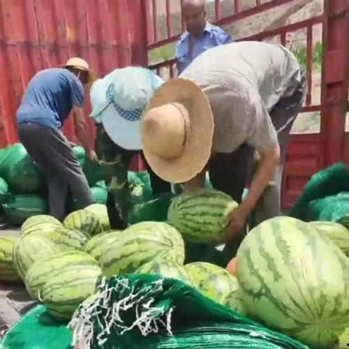 唐河县吃瓜群众事件视频,一场网络舆论的风暴与反思