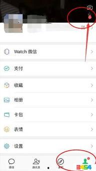 qq吃瓜视频入口在哪,QQ吃瓜视频入口大揭秘，轻松获取热门资讯！