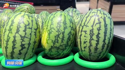 山东青州 吃瓜事件视频,一场引发热议的网络视频风波