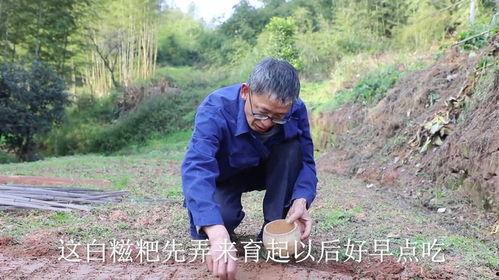 幺妈和幺叔吃瓜视频,揭秘娱乐圈幕后故事