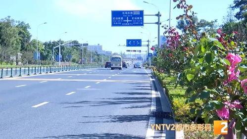 惠州水东街吃瓜群众视频,吃瓜群众视角下的市井百态