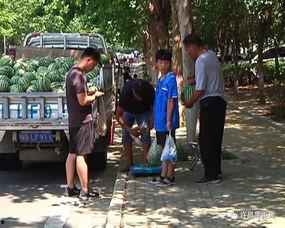 梧州吃瓜群众事件视频,街头冲突引发社会关注