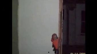 诡异事件吃瓜视频下载,吃瓜视频背后的惊悚真相