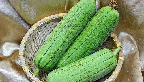 水瓜可以刷锅吃吗视频,洗锅也能吃出美味