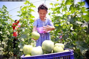 临汾最新吃瓜事件视频,视频揭秘惊人真相！