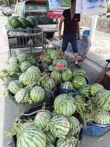 邹城西城吃瓜事件视频最新,一场引发热议的街头冲突瞬间