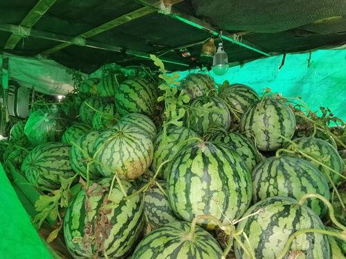 高平市吃瓜视频,揭秘当地特色美食与风土人情